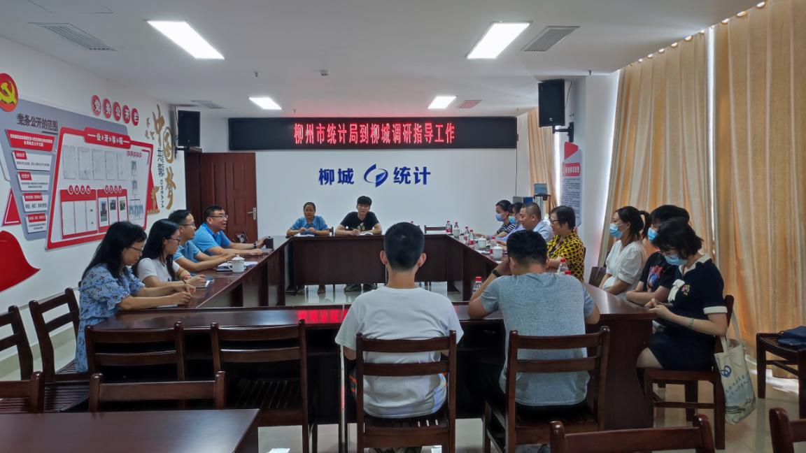 柳州市统计局赴柳城县开展企业服务年活动 及工业数据质量核查工作